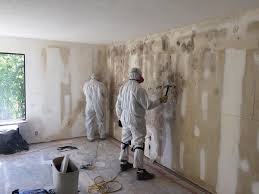 Best Asbestos and Lead Testing During Mold Inspection  in English, IN